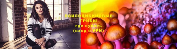 бутират Алексеевка