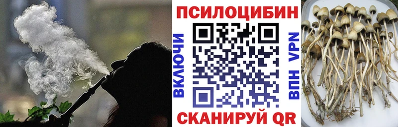 Галлюциногенные грибы мицелий  где можно купить   Зеленокумск 